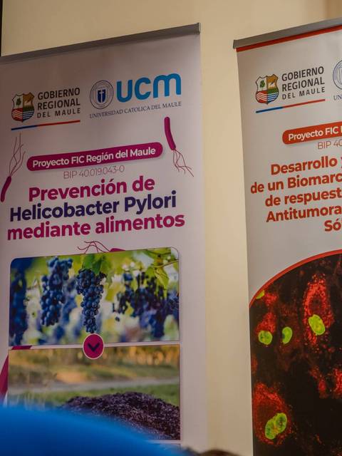 Presentación sobre la prevención de Helicobacter Pylori y la validación de biomarcadores en tumores.