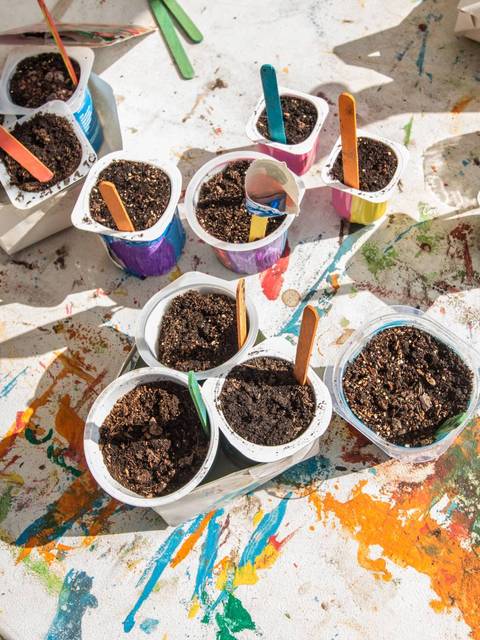 Un grupo de macetas con tierra en una mesa de trabajo llena de colores.