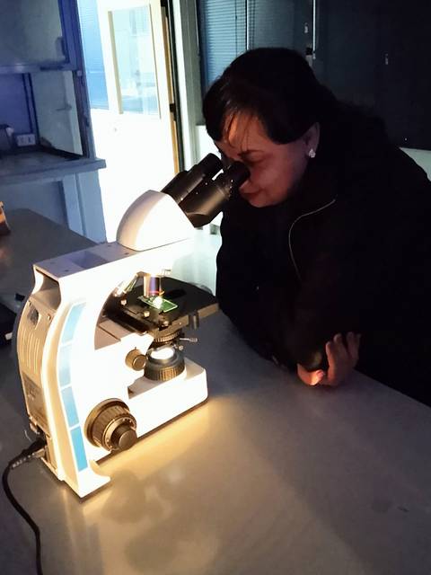 Una persona está observando a través de un microscopio en un laboratorio.