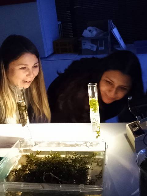 Tres compañeras de laboratorio observan con asombro experimentos en tubos de ensayo iluminados.