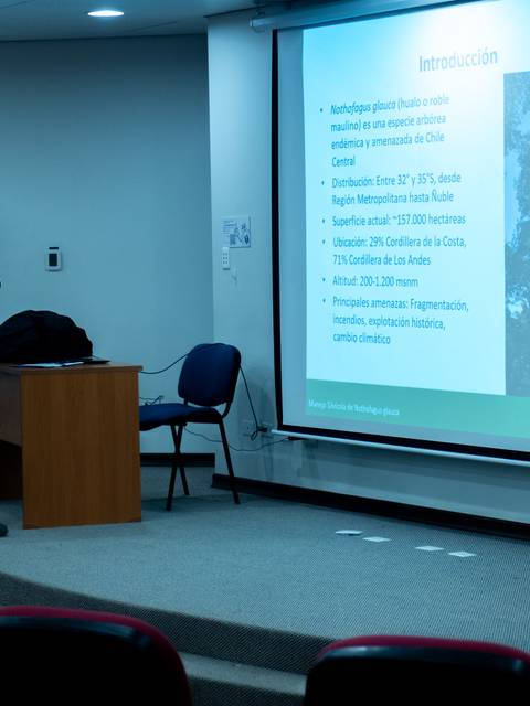 Un expositor presenta en una sala de conferencia con una pantalla detrás.