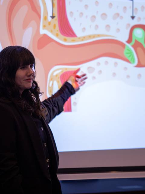 Una persona explica la anatomía del oído en una presentación.