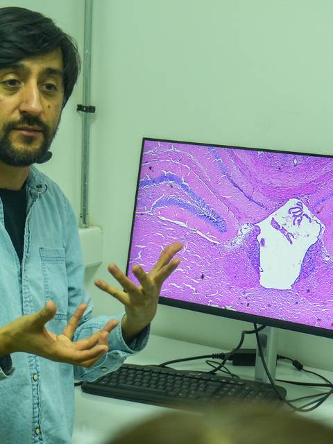 Un profesor explica un caso clínico mientras muestra una imagen en una pantalla.