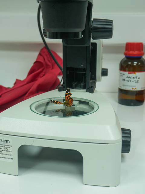 Un microscopio analizando una muestra en un laboratorio.