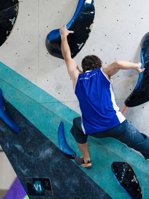 Un cabro está trepando en una pared de escalada indoor.