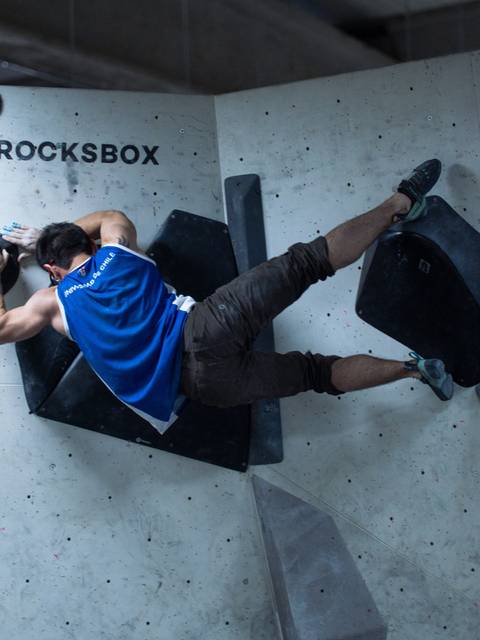 Un guaton practicando boulder en un gimnasio.
