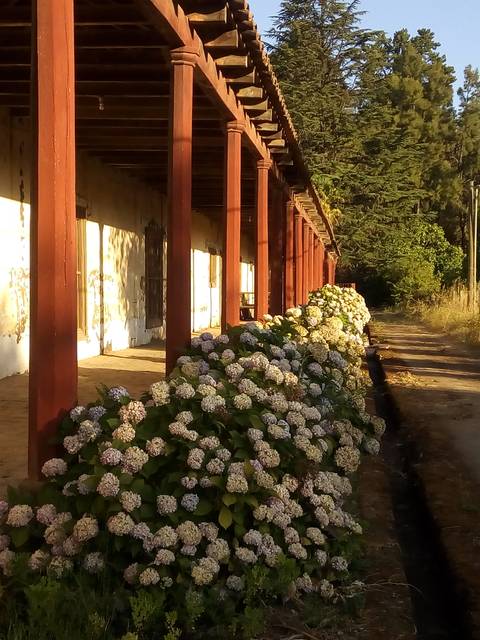 Una antigua construcción con columnas de madera y un camino flanqueado por flores en un entorno natural.