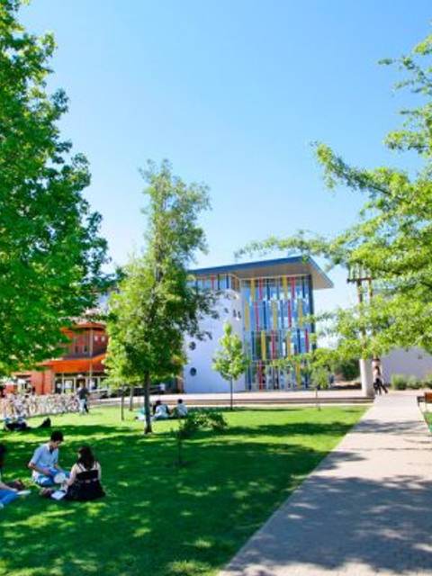 Una tranquila escena de un campus universitario con estudiantes disfrutando al aire libre.