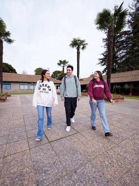 Un grupo de tres jóvenes camina y charla en un patio con palmeras alrededor.