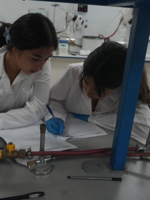 Dos estudiantes se concentran en un experimento en el laboratorio.