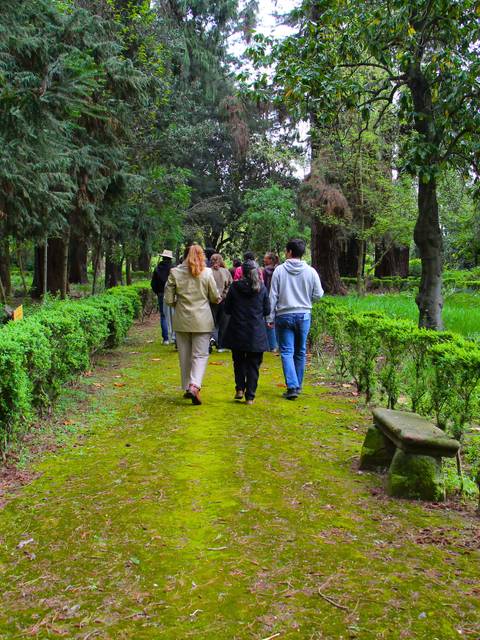 Un grupo de personas caminando por un sendero rodeado de árboles en un parque.
