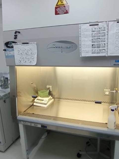 Un laboratorio con una campana de extracción y un espacio de trabajo organizado.