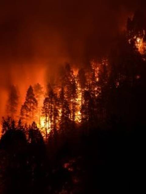 Un incendio forestal devorando un bosque en la oscuridad de la noche.