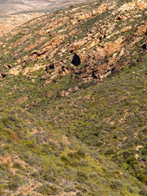 Una vista panorámica de un paisaje montañoso con vegetación y un camino serpenteante.