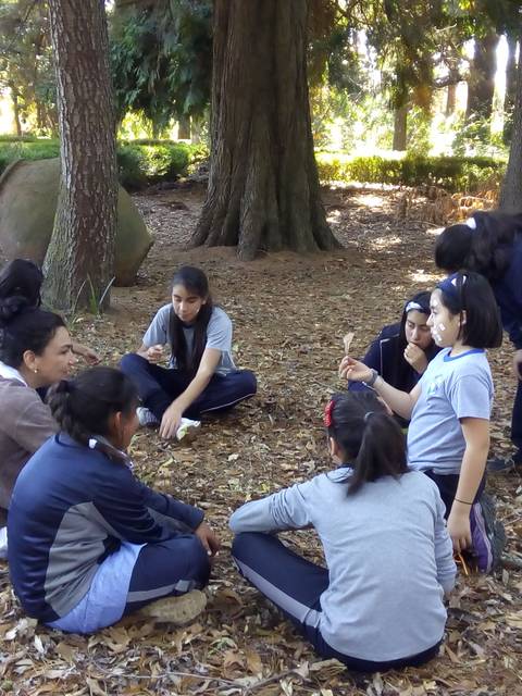 Un grupo de jóvenes se reúne en un parque, sentados en el suelo entre hojas caídas.