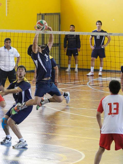 Un grupo de jugadores de voleibol en acción durante un partido en un gimnasio.
