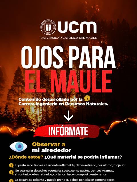 Este afiche da recomendaciones sobre cómo prevenir incendios en la región del Maule.