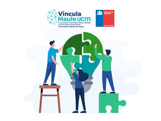 banner cuenta publica vinculamaule-5050f5ee-3637-4e69-b5b3-75d336025de1