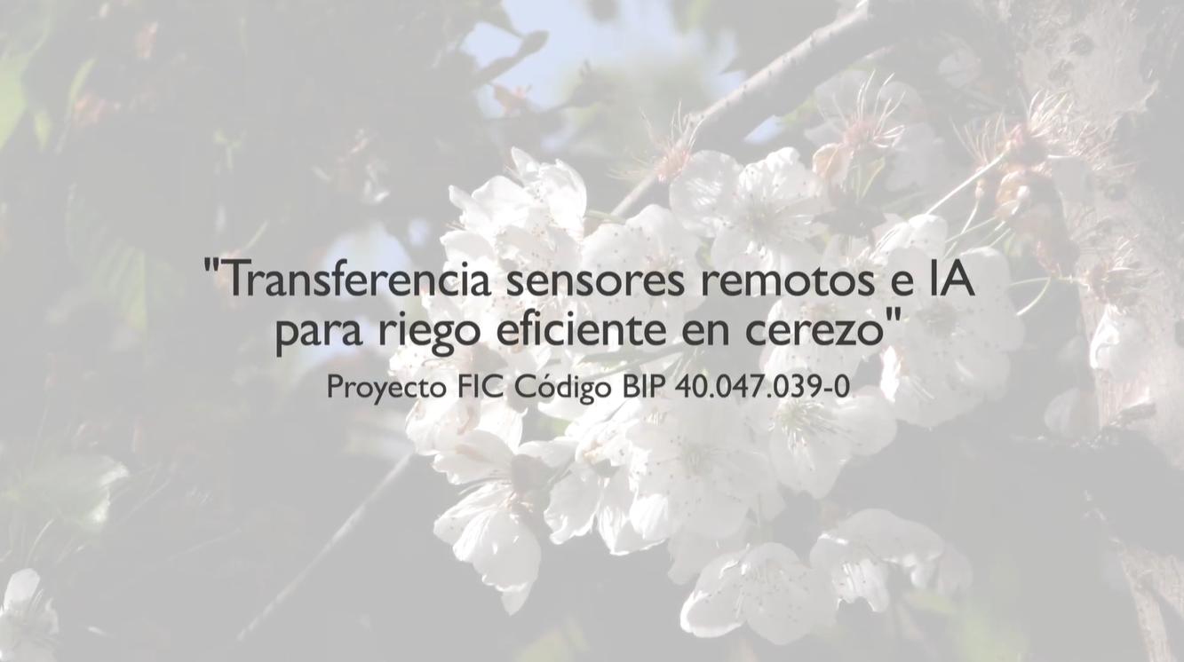 Imagen que muestra un proyecto sobre riego eficiente en cerezo usando tecnología avanzada.