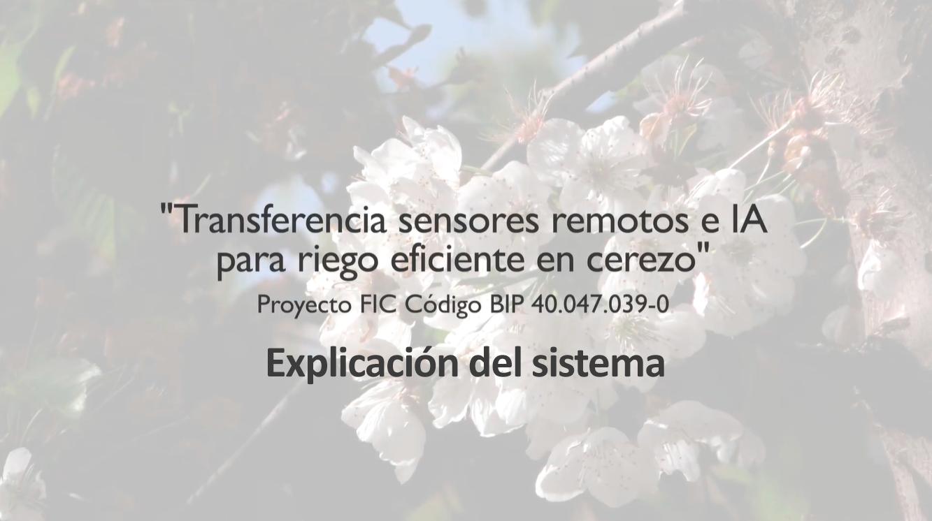 Explicación de un proyecto sobre riego eficiente para cerezos utilizando sensores remotos e inteligencia artificial.