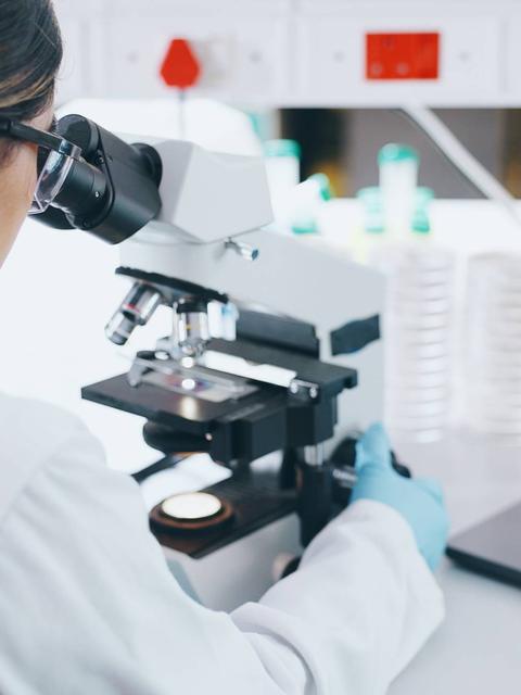 Seminario de Cierre "Ciencia que Transforma: Innovación en el desarrollo de soluciones frente a  la resistencia antimicrobiana"