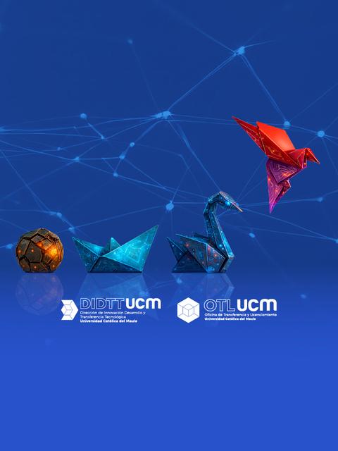 Networking Investigadores UCM