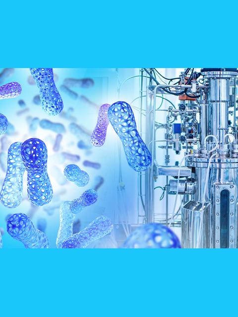 La imagen muestra un biorreactor con microorganismos en proceso de cultivo.