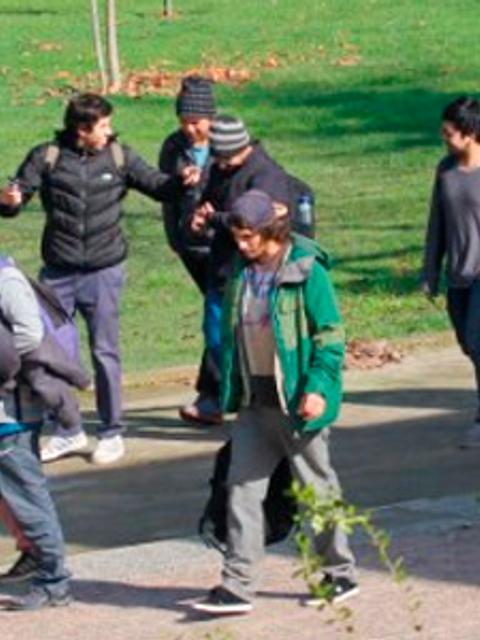 Un grupo de personas camina por un camino en un parque con áreas verdes.