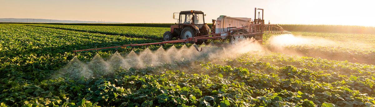 Un tractor rociando pesticidas en un campo de cultivos al atardecer.
