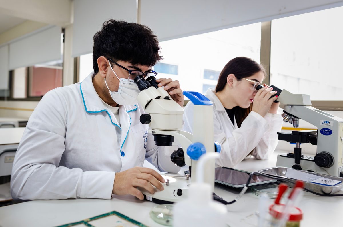 Dos estudiantes de laboratorio observan a través de microscopios en una clase de ciencias.