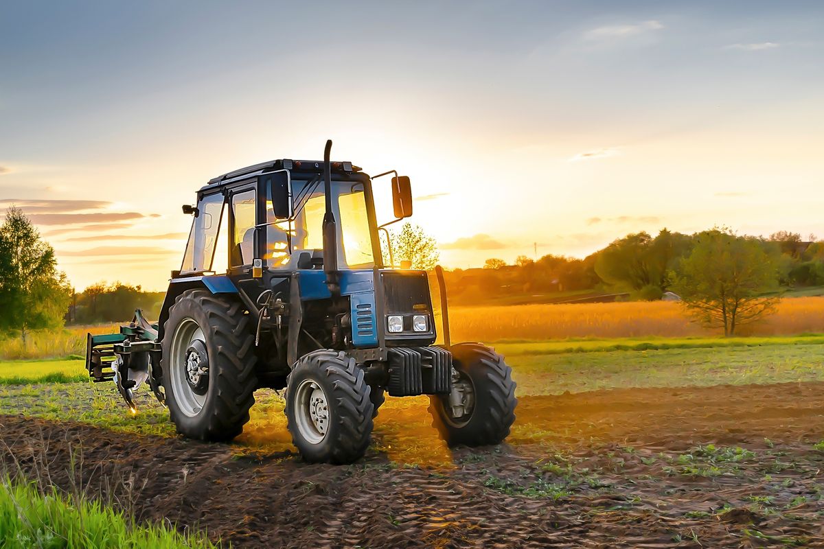 Un tractor trabaja en un campo chileno al atardecer.