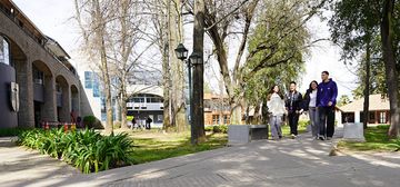 Un grupo de estudiantes camina por un campus universitario rodeado de árboles y áreas verdes.