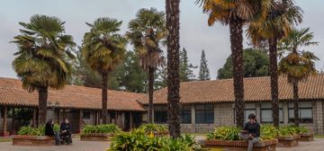 Una plaza rodeada de palmeras con personas sentadas disfrutando del paisaje.