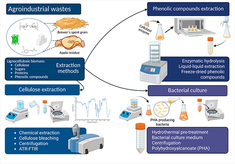 La imagen muestra diferentes métodos de extracción de compuestos fenólicos y celulosa a partir de desechos agroindustriales.