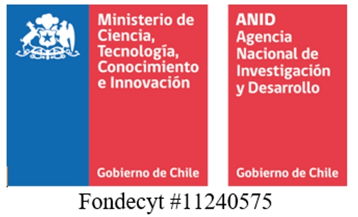 Logo del Ministerio de Ciencia y la Agencia Nacional de Investigación en Chile.