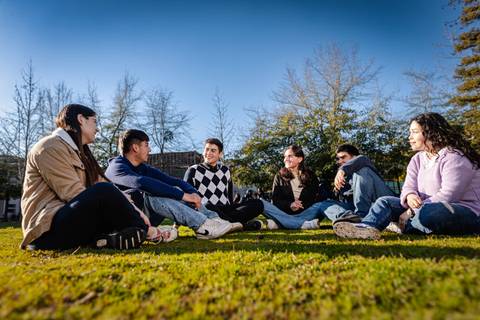 Un grupo de jóvenes conversando y disfrutando al aire libre en un día soleado.