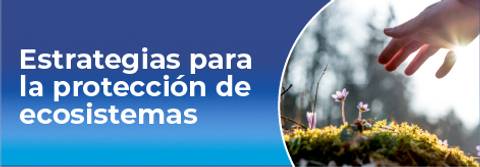 Una mano se acerca a unas flores sobre un fondo natural, promoviendo la protección de los ecosistemas.