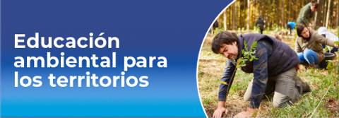 Un grupo de personas participando en una actividad de reforestación en un bosque chileno.