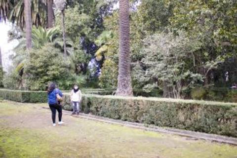 Dos personas pasean por un jardín con árboles y arbustos.