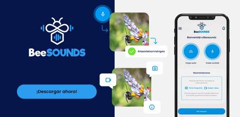 Aplicación BeeSOUNDS que permite grabar y escuchar sonidos de la naturaleza.