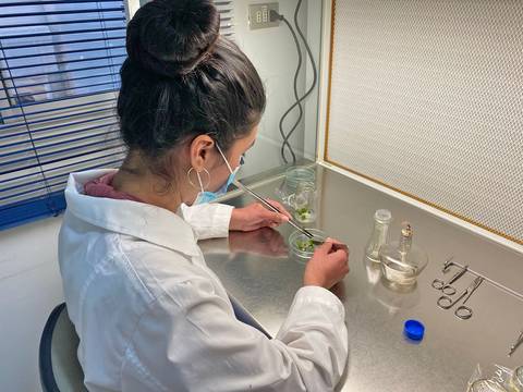 Una persona en un laboratorio analiza muestras con cuidado.