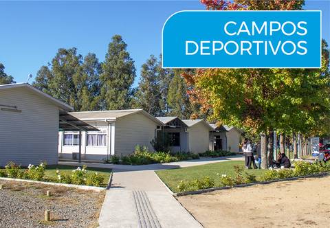 Vista de unos campos deportivos rodeados de árboles y estructuras modernas.