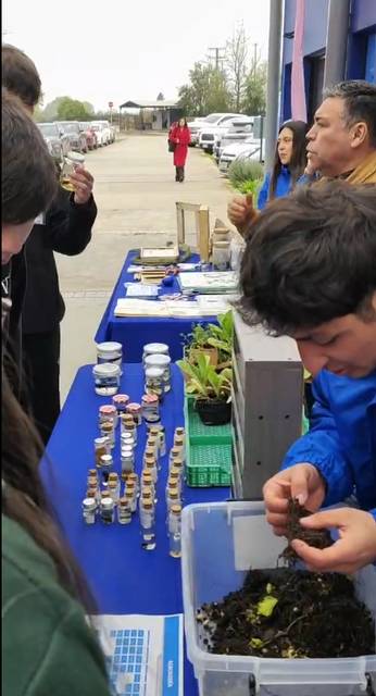 En una feria de ciencia, un grupo de personas interactúa con plantas y muestras en una mesa al aire libre.