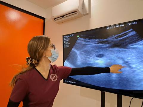 Una profesional de la salud muestra una ecografía en una pantalla.