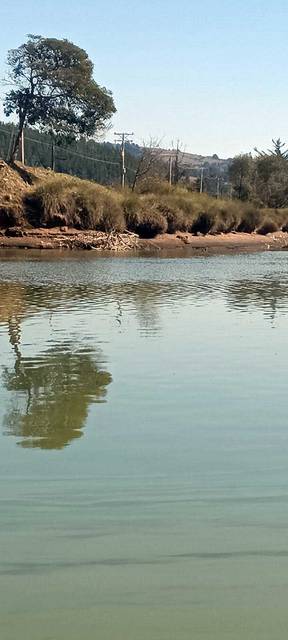 Una tranquila vista de un río con reflejos y vegetación a sus orillas.