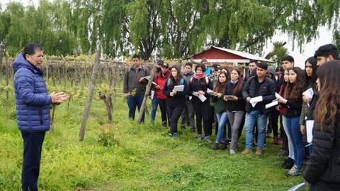 Un grupo de estudiantes escucha atentamente a un instructor en un viñedo.