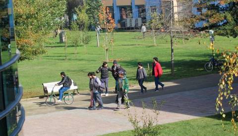Un grupo de personas camina por un parque con árboles y áreas verdes.