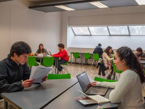 Un par de estudiantes conversando y trabajando en un ambiente de estudio tranquilo.