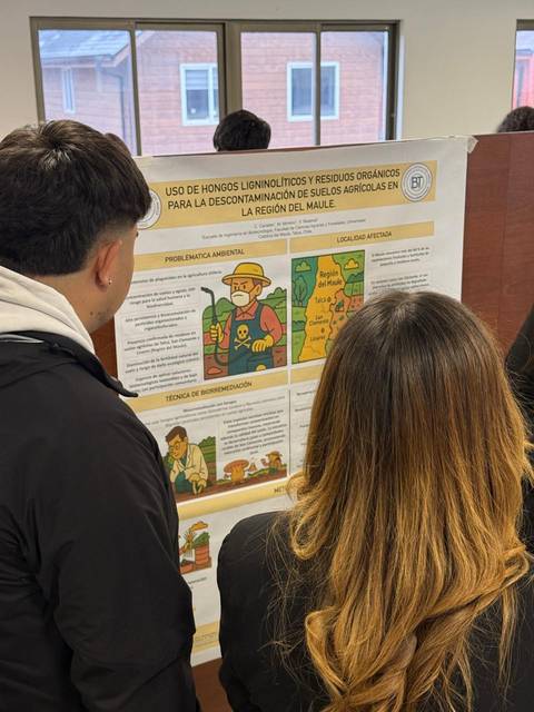 Presentación sobre el uso de hongos para la descontaminación de suelos en Maule.