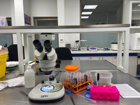 Un laboratorio equipado con un microscopio, tubos de ensayo y material de laboratorio.